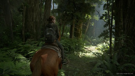 The Last Of Us 2 The Last Of Us 2