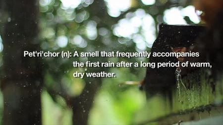 Esto sí es fotografía de alta velocidad: científicos del MIT capturan el aroma de una gota de agua