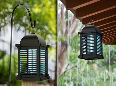 mosquitos