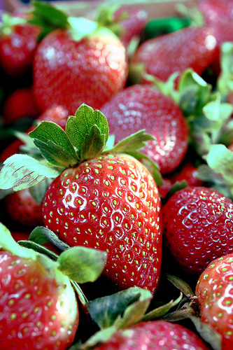 La primavera también es tiempo de fresas