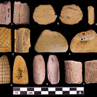 Si alguien piensa que apostar es un vicio moderno, acabamos de encontrar un juego de azar de más de 12.000 años 