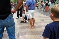 Las pymes pagarán los gastos e intereses asociados al nuevo sistema de pagos de facturas de la Administración