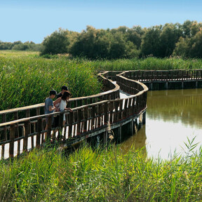 Va a ser difícil verlo en un mejor estado: el momento perfecto para descubrir uno de los parques nacionales más icónicos de España 