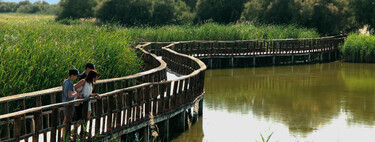 Va a ser difícil verlo en un mejor estado: el momento perfecto para descubrir uno de los parques nacionales más icónicos de España 