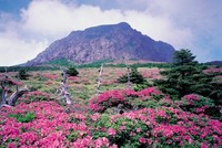 El Parque Nacional  Hallasan en Corea del Sur lidera un ranking de los mejores espacios verdes de Asia