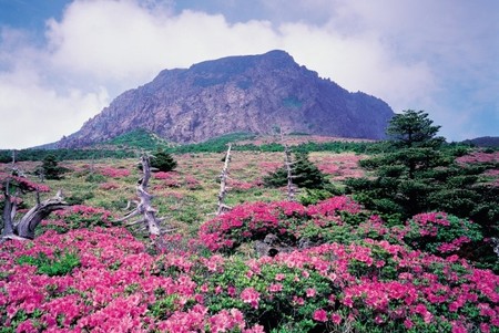 El Parque Nacional  Hallasan en Corea del Sur lidera un ranking de los mejores espacios verdes de Asia