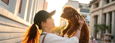 Si quieres adoptar un perro, no te preocupes por adelantarte a la Ley de Bienestar