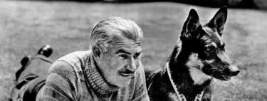 Estas son las razas de perros que más han cambiado a lo largo de la historia humana 