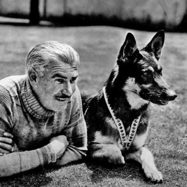 Estas son las razas de perros que más han cambiado a lo largo de la historia humana 
