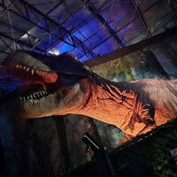 Esta es tu guía para visitar ‘Jurassic World: The Experience’, en Vive Claro, en Bogotá