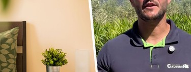 Joan Calderón, experto en plantas: "Estas son las tres plantas que deberías tener en dormitorio, y no, no te roban el oxígeno"