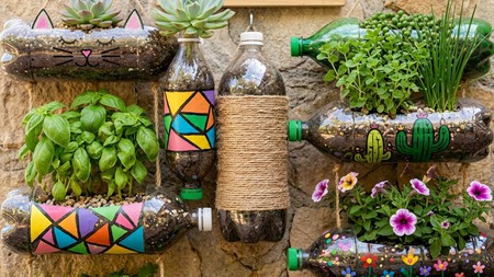 Cómo reutilizar botellas de plástico para crear macetas y cultivar tus plantas en casa