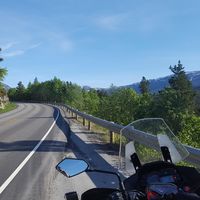 ¿Cuándo se podrá viajar entre provincias y qué condiciones serán necesarias?