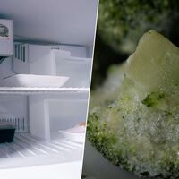A la pregunta de si la comida pierde nutrientes en el congelador, la respuesta es depende de cómo la descongelemos