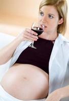 La atracción por el alcohol en la adolescencia, programada desde el vientre materno