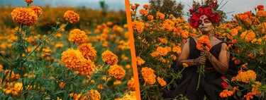 Cómo visitar los campos de cempasúchil en Puebla: cómo es la experiencia y cuánto cuesta