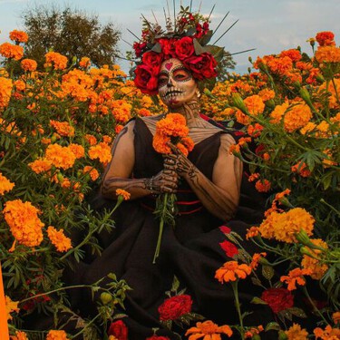 Cómo visitar los campos de cempasúchil en Puebla: cómo es la experiencia y cuánto cuesta