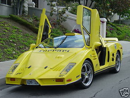Ferrari Enzo casero