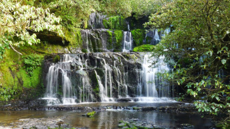 Catlins2