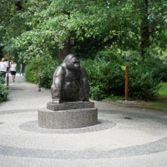 Foto 14 de 16 de la galería muestras-fe-50mm-f1-4-za en Xataka Foto