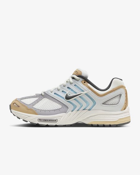 Nike Air Pegasus 2005