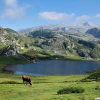 El Parque Nacional Picos de Europa cumple 100 años
