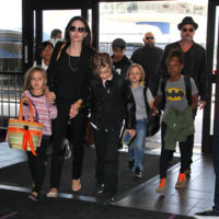 Ya sean Brad y Angelina o unos desconocidos, lo más importante en cualquier separación son los hijos