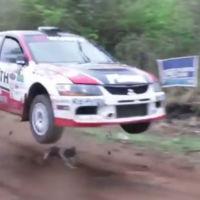 ¡Hay perros con mucha suerte! Mira en este vídeo cómo se salvó Pupi en el Rally de Codasur