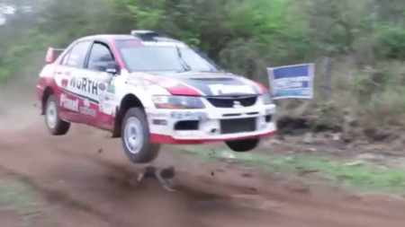¡Hay perros con mucha suerte! Mira en este vídeo cómo se salvó Pupi en el Rally de Codasur