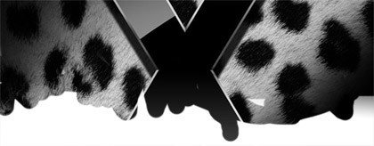 Sobre el retraso de Leopard: Conclusiones