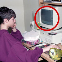 Subió una foto jugando en PC en los noventa y preguntó qué juego era: una investigación colectiva reveló el misterio 