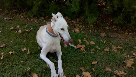 Img 20170729 162224311