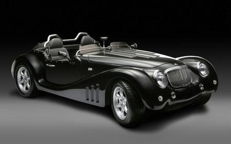 Leopard Roadster 2013