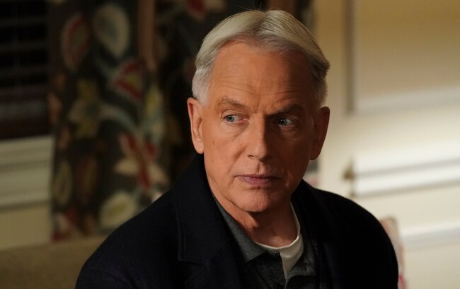 Mark Harmon As Gibbs Ncis