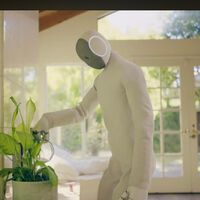 Por 20 mil dólares, este robô humanoide promete fazer diversas tarefas domésticas, mas parece que não é tão bom assim 