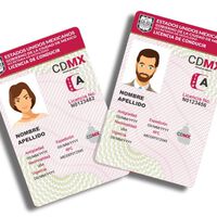 Licencia de conducir permanente en CDMX: ¿Qué preguntas hacen en el examen teórico obligatorio?