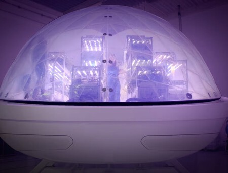 Existem muitos projetos em andamento para aprender a construir e cultivar em Marte, imitando as características do planeta