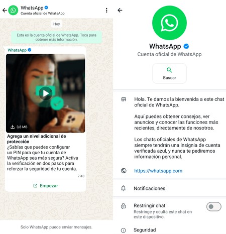 Chat Whatsapp