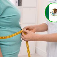 En México 46 millones de personas ya viven con obesidad y en 2030 casi la mitad de los adultos podría vivir con exceso de peso  