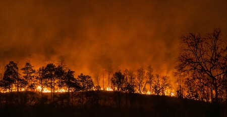 incendio floretsal