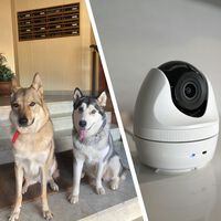 Tenía un viejo móvil Android que ya no usaba. Así lo he convertido en una cámara de vigilancia para mascotas sin gastar ni un euro