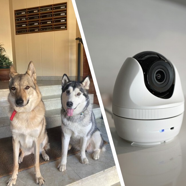 Camara Seguridad