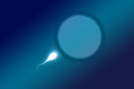 En solo 40 años, la fertilidad masculina se ha reducido en más de un 50%