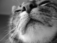 La venta agresiva no vende 