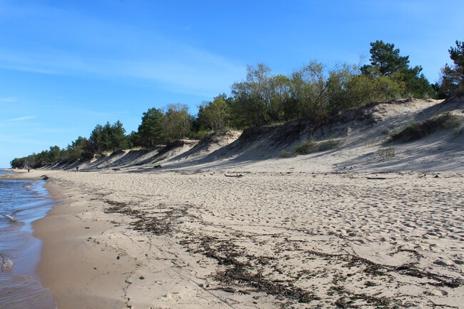 Coast Of Gulf Of Riga Near Carnikava