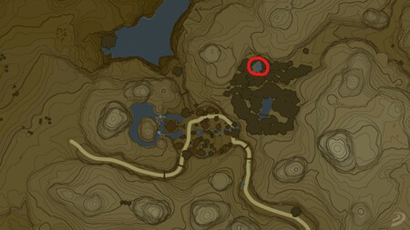 Hadas Zelda Botw