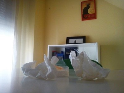 Conducir con alergia, un calvario que se puede mitigar