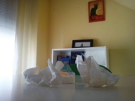 Conducir con alergia, un calvario que se puede mitigar