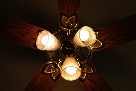 ¿Cuánta madera necesitarías para iluminar tu casa?