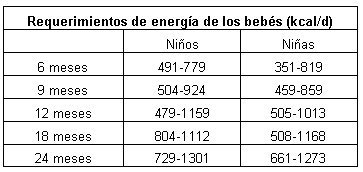 requerimientos calóricos